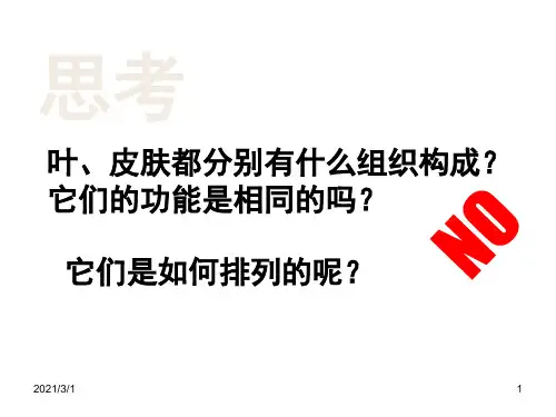 生物体的结构层次3PPT精品课件