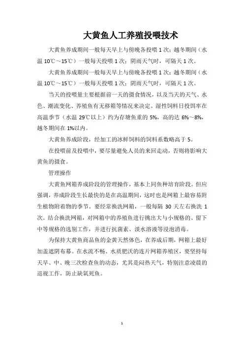大黄鱼人工养殖投喂技术