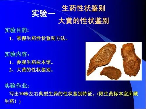 实验1-4大黄