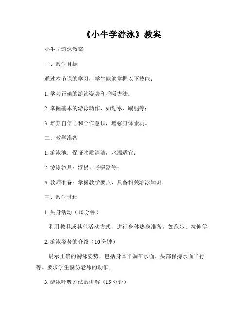 《小牛学游泳》教案
