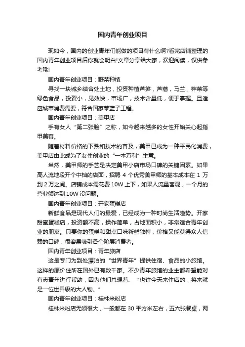 国内青年创业项目