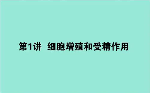 2020版高考生物二轮复习3.1细胞增殖和受精作用课件