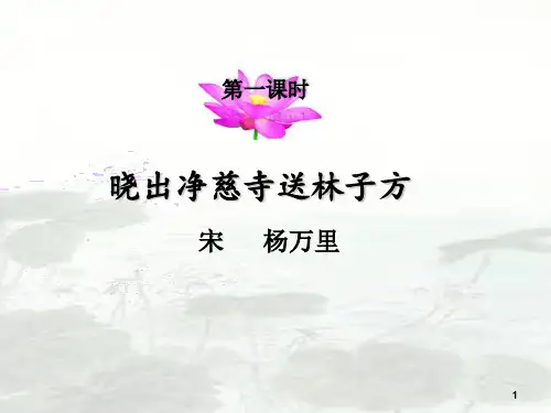 部编版二年级下册语文课件-晓出净慈寺送林子方  (共16张PPT)