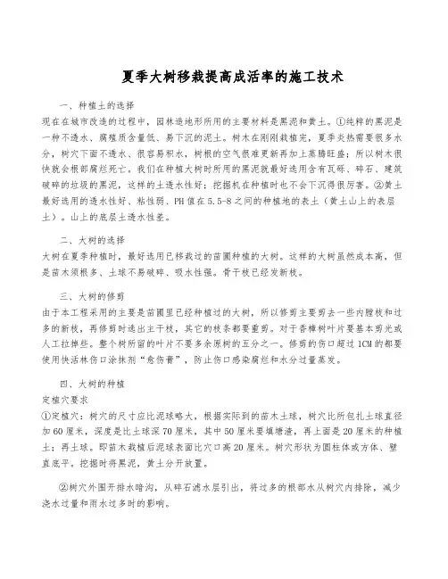 夏季大树移栽提高成活率的施工技术