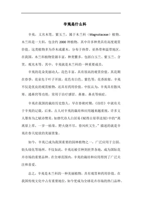 辛夷是什么科
