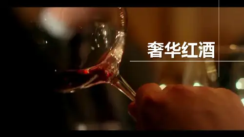 奢华红酒介绍PPT课件