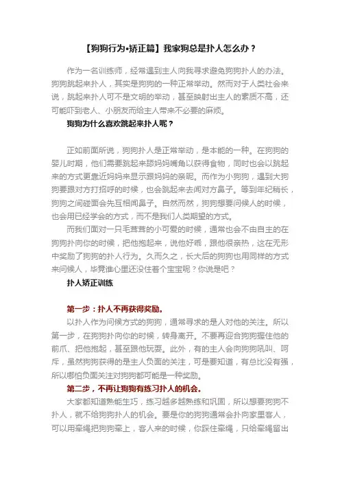【狗狗行为·矫正篇】我家狗总是扑人怎么办？