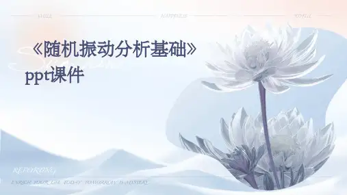 《随机振动分析基础》课件