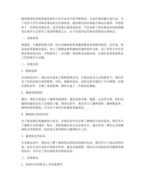 大学生林业实践心得体会