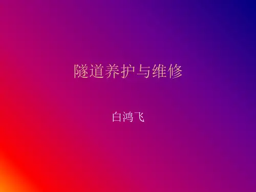 隧道养护与维修PPT课件