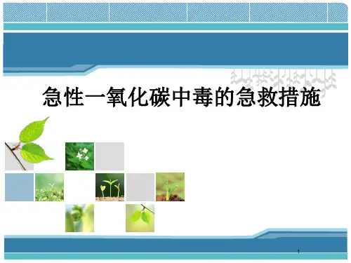 急性一氧化碳中毒的急救PPT课件
