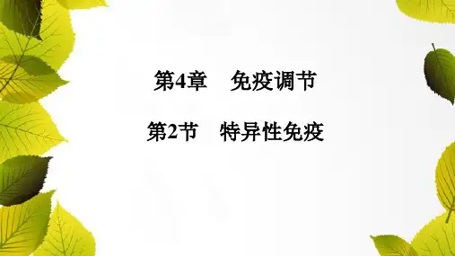 第4章第2节特异性免疫-2024-2025学年高二生物选择性必修1(配人教版)配套课件