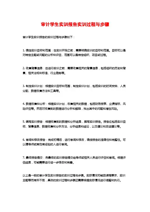 审计学生实训报告实训过程与步骤