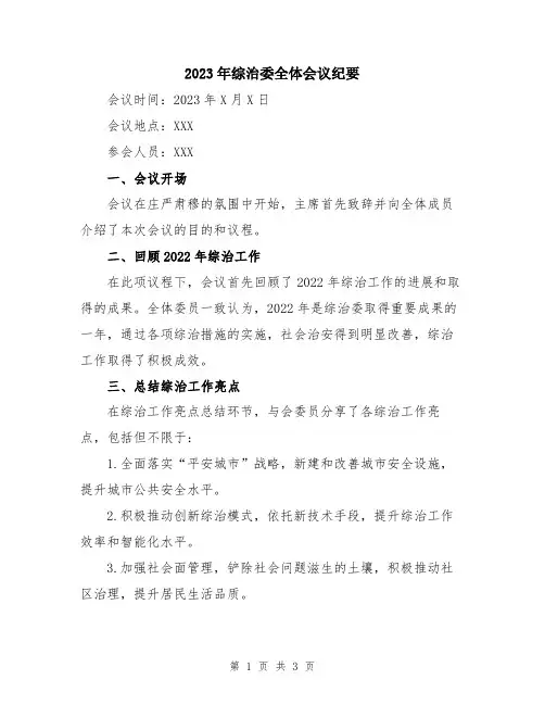 2023年综治委全体会议纪要