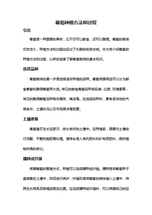 葡萄种植方法和过程
