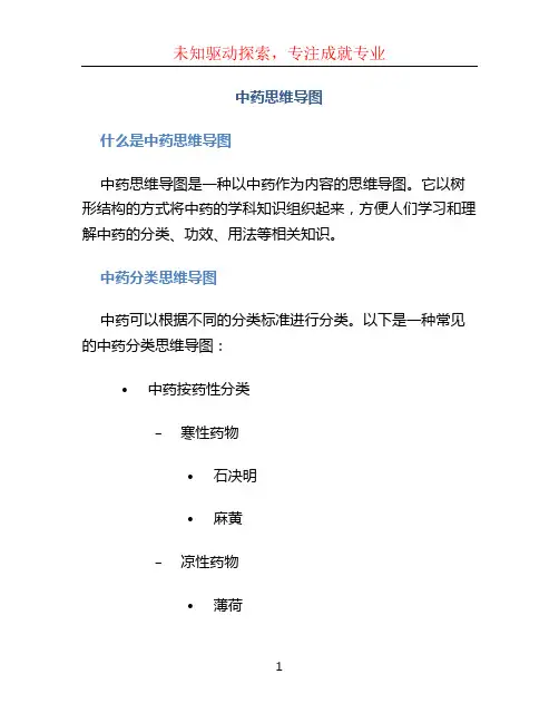 中药思维导图 (2)