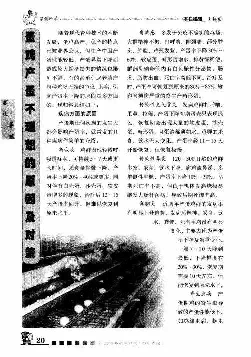 蛋鸡产蛋不理想的原因及对策
