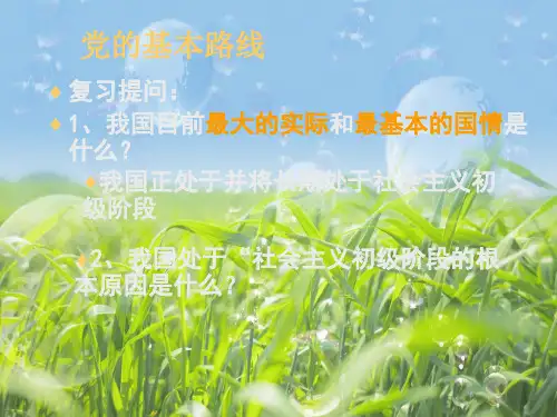 党的基本路线PPT课件