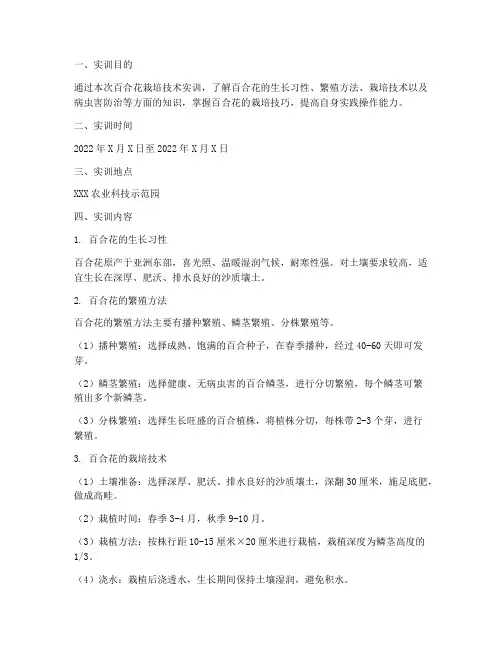 百合花栽培技术实训报告