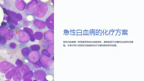 急性白血病的化疗方案