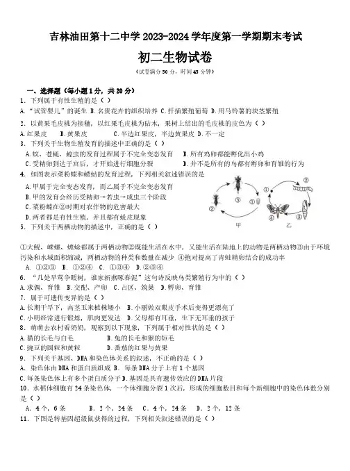 吉林省松原市油田第十二中学2023-2024学年第一学期八年级生物期末试卷(word版,含答案)