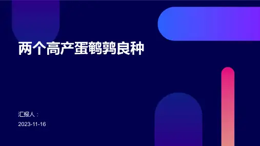 两个高产蛋鹌鹑良种