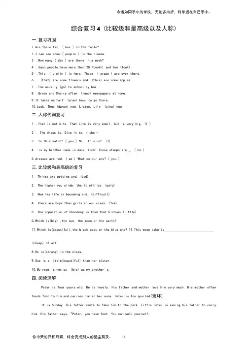 香港朗文英语4a语法-综合复习4