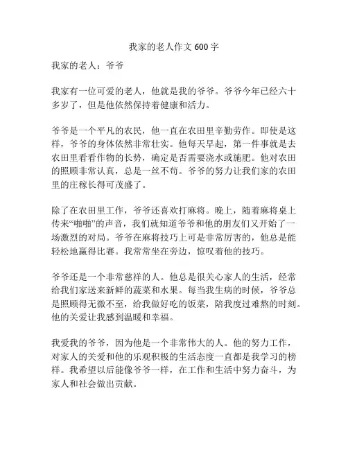 我家的老人作文600字