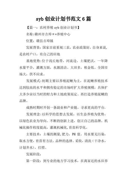 syb创业计划书范文6篇