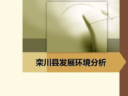 新野县发展环境分析