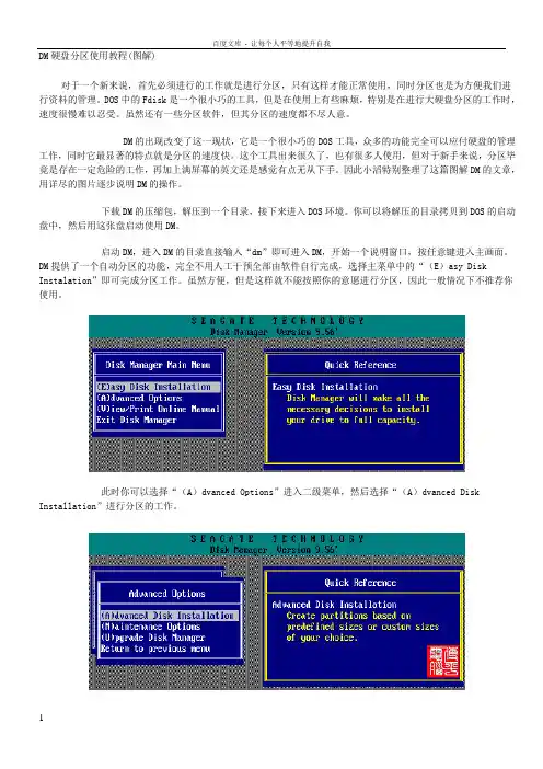 DM硬盘分区使用教程