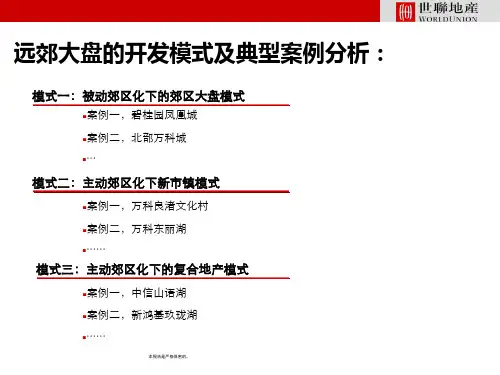 远郊商业大盘模式和经典案例分析