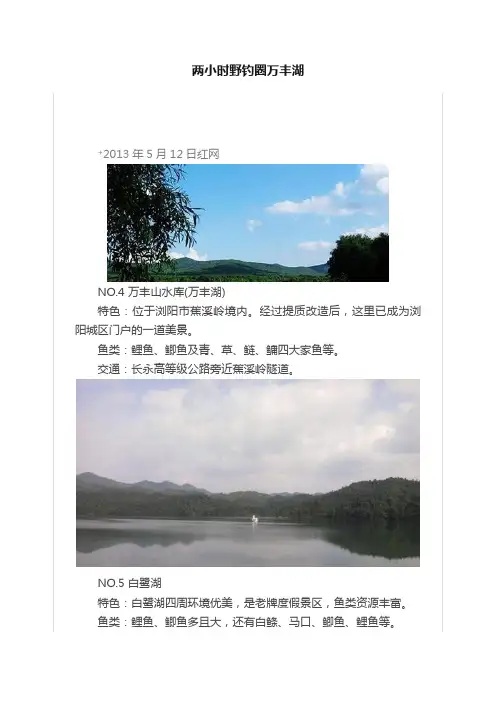 两小时野钓圈万丰湖