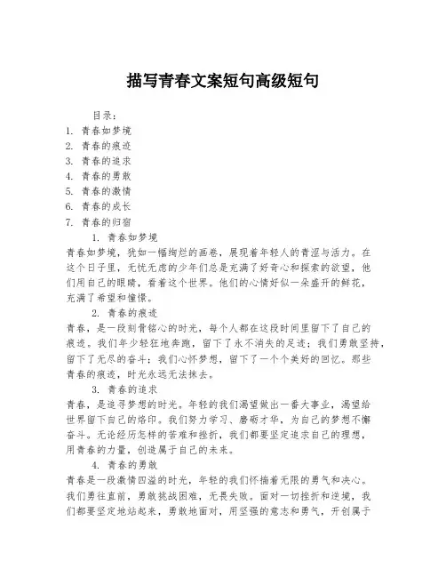 描写青春文案短句高级短句