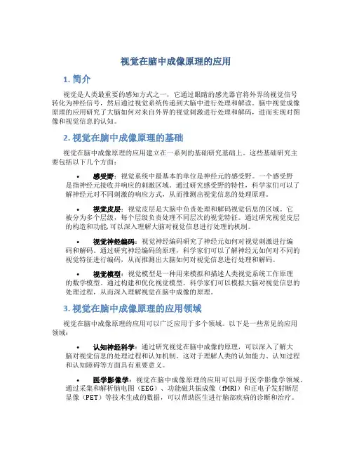 视觉在脑中成像原理的应用