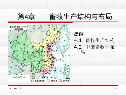 畜牧业生产结构.ppt