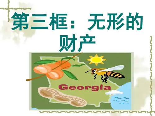A《无形的财产》分析