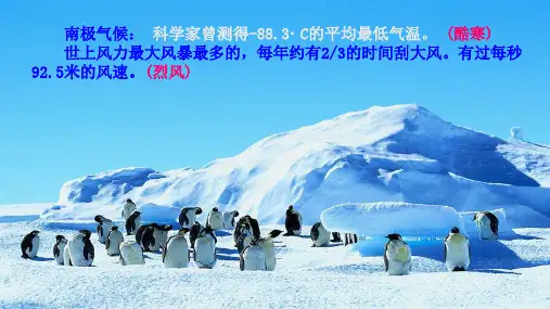 《伟大的悲剧》课件 2023—2024学年统编版语文七年级下册