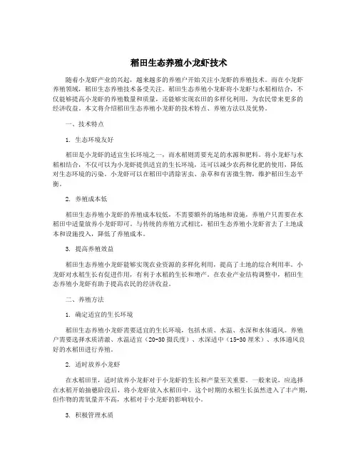 稻田生态养殖小龙虾技术