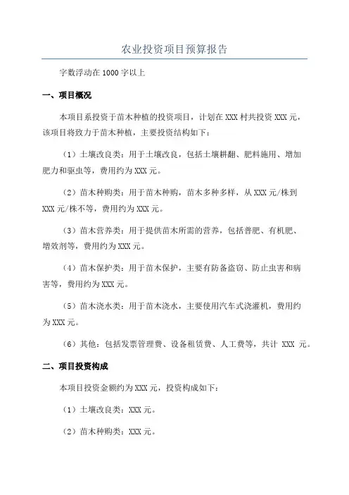 农业投资项目预算报告