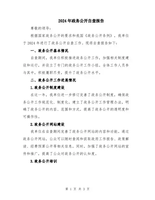 2024年政务公开自查报告