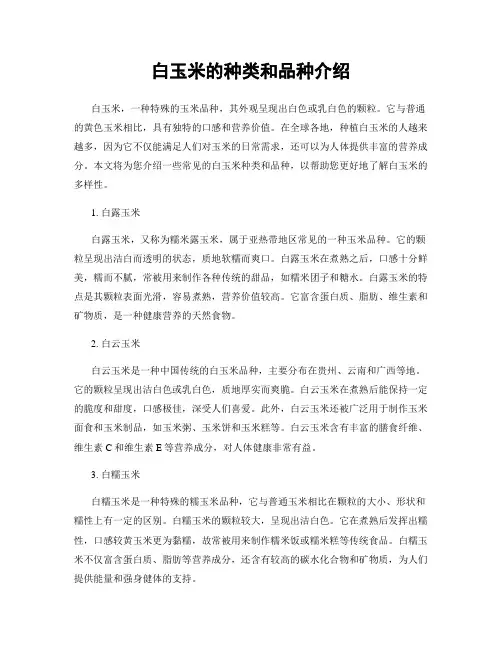 白玉米的种类和品种介绍