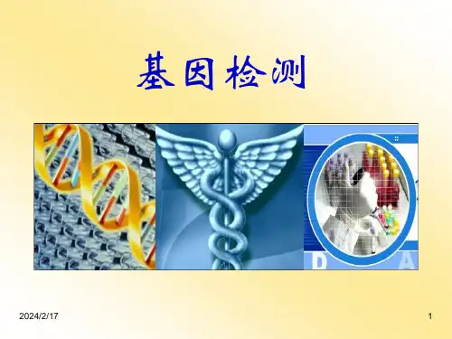 基因检测基础培训.ppt