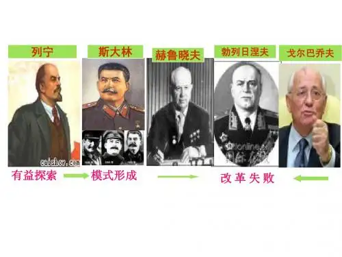 苏联社会主义建设的经验与教训(精品)