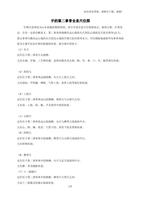 手的第二掌骨全息穴位图