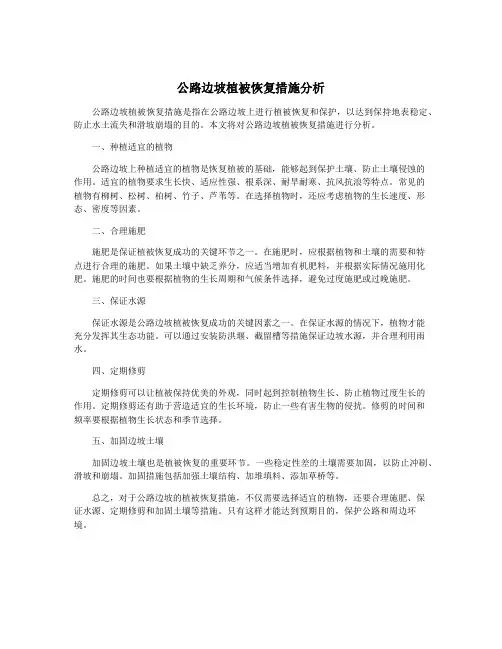 公路边坡植被恢复措施分析