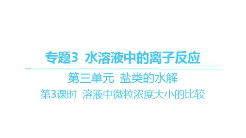 苏教版高中化学选择性必修1化学反应原理精品课件 第三单元盐类的水解-第3课时溶液中微粒浓度大小的比较
