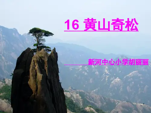 《16、黄山奇松》课件幻灯片