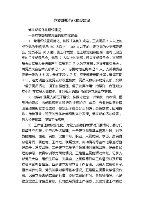 党支部规范化建设建议