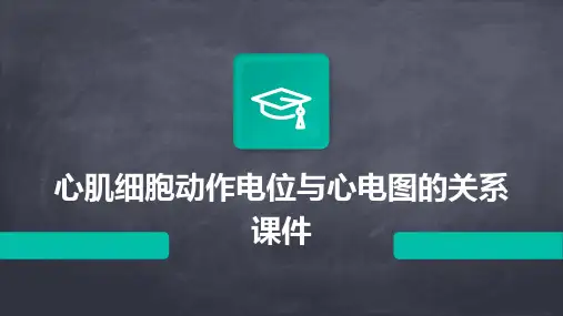 心肌细胞动作电位与心电图的关系课件